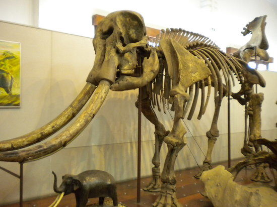 Museum Geologi Bandung